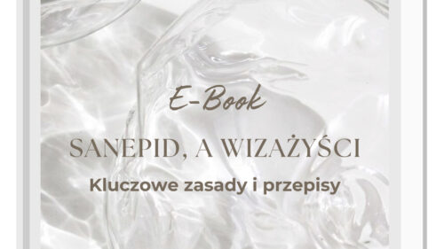 SANEPID, A WIZAŻYŚCI Kluczowe zasady i przepisy – e-book